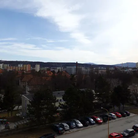 Turgenevova